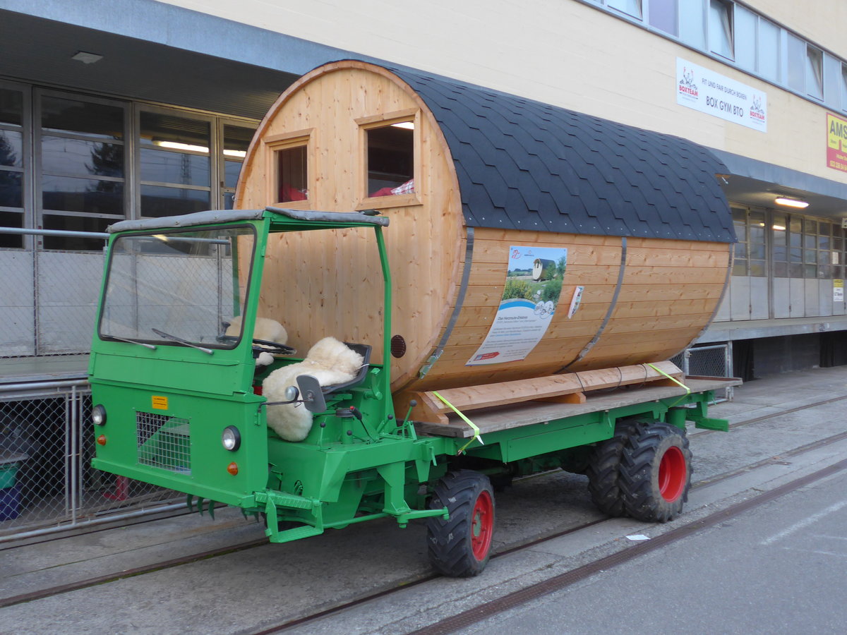 (176'441) - M�hlethaler - BE 607'356 - am 3. November 2016 in Thun, Rosenau