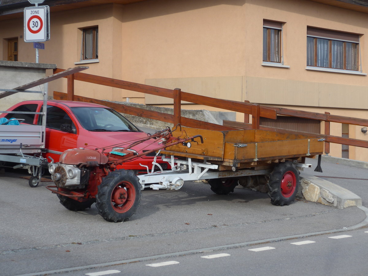 (176'742) - Bucher - VS 21'155 - am 26. November 2016 in Premploz