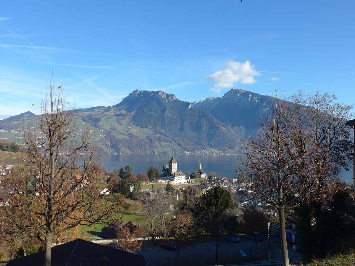 (176'763) - Schloss und Bucht am 27. November 2016 in Spiez