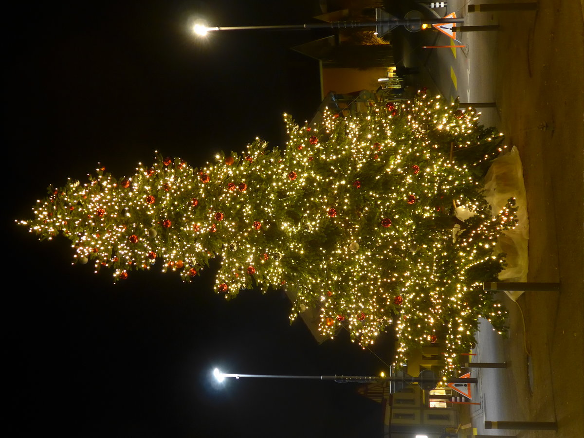 (176'825) - Weihnachtsbaum am 3. Dezember 2016 in Spiez