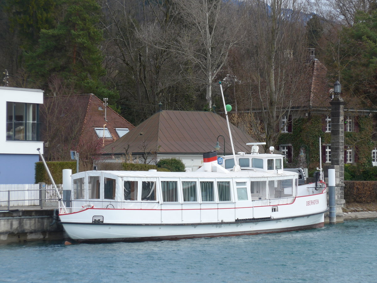 (178'831) - Das Motorschiff Oberhofen am 4. M�rz 2017 bei der Schiffl�ndte Thun