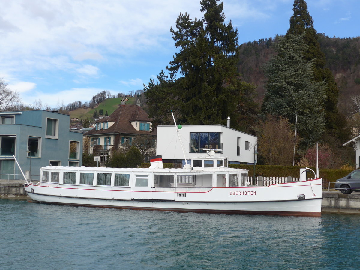 (178'832) - Das Motorschiff Oberhofen am 4. M�rz 2017 bei der Schiffl�ndte Thun