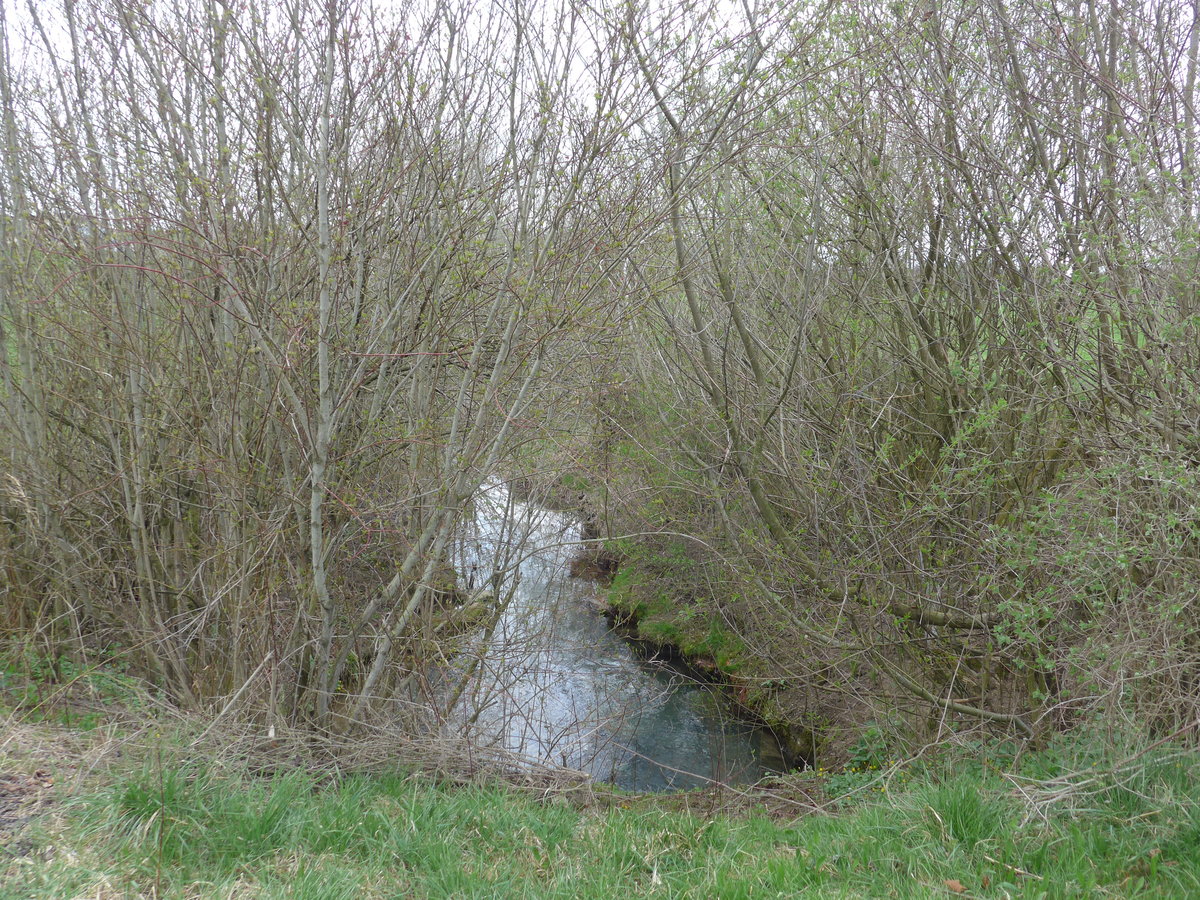 (179'260) - B�chli und Str�ucher am 1. April 2017 in Vendlincourt