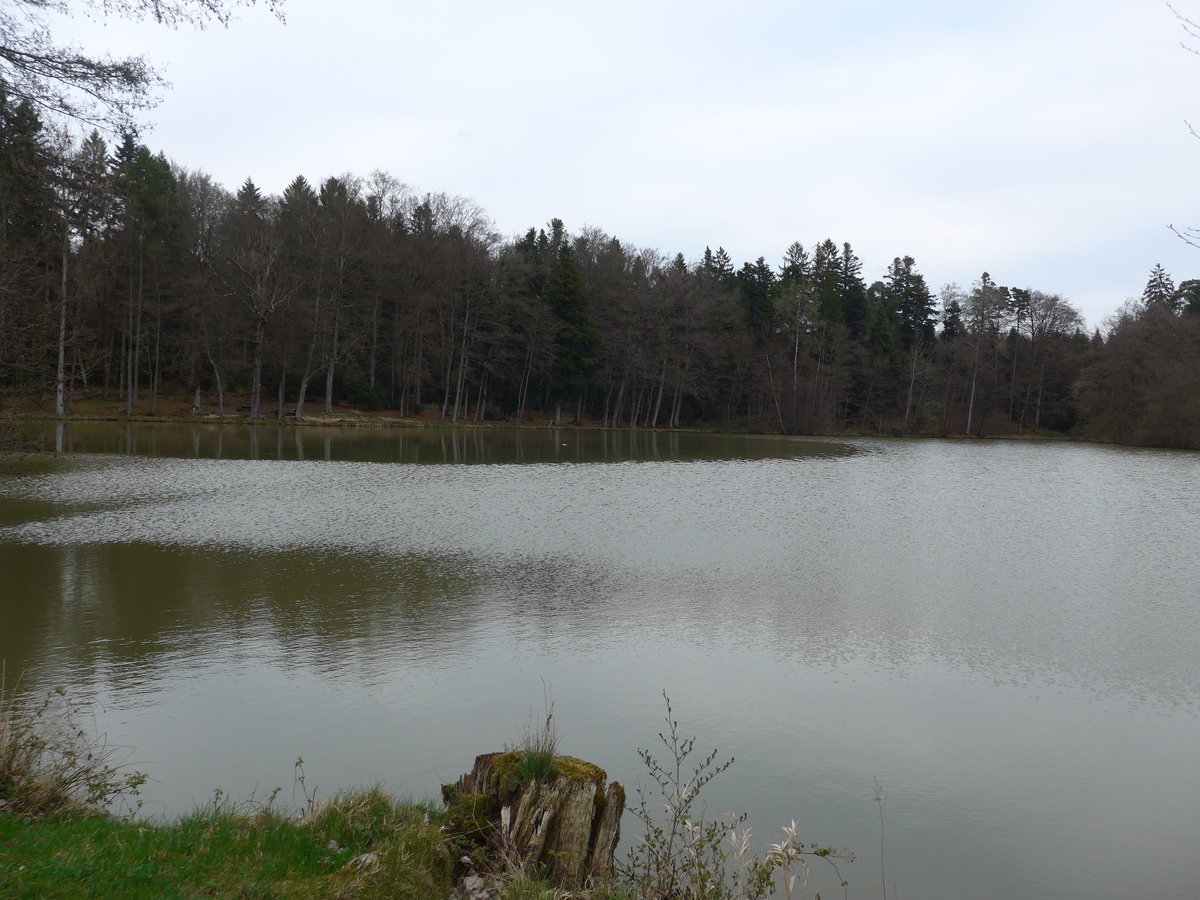 (179'273) - Der Weier am 1. April 2017 bei Vendlincourt