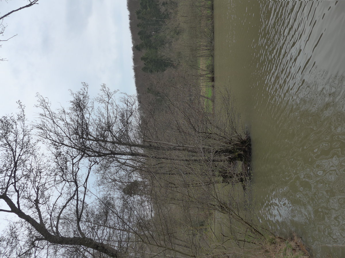 (179'290) - Der Weier am 1. April 2017 bei Vendlincourt