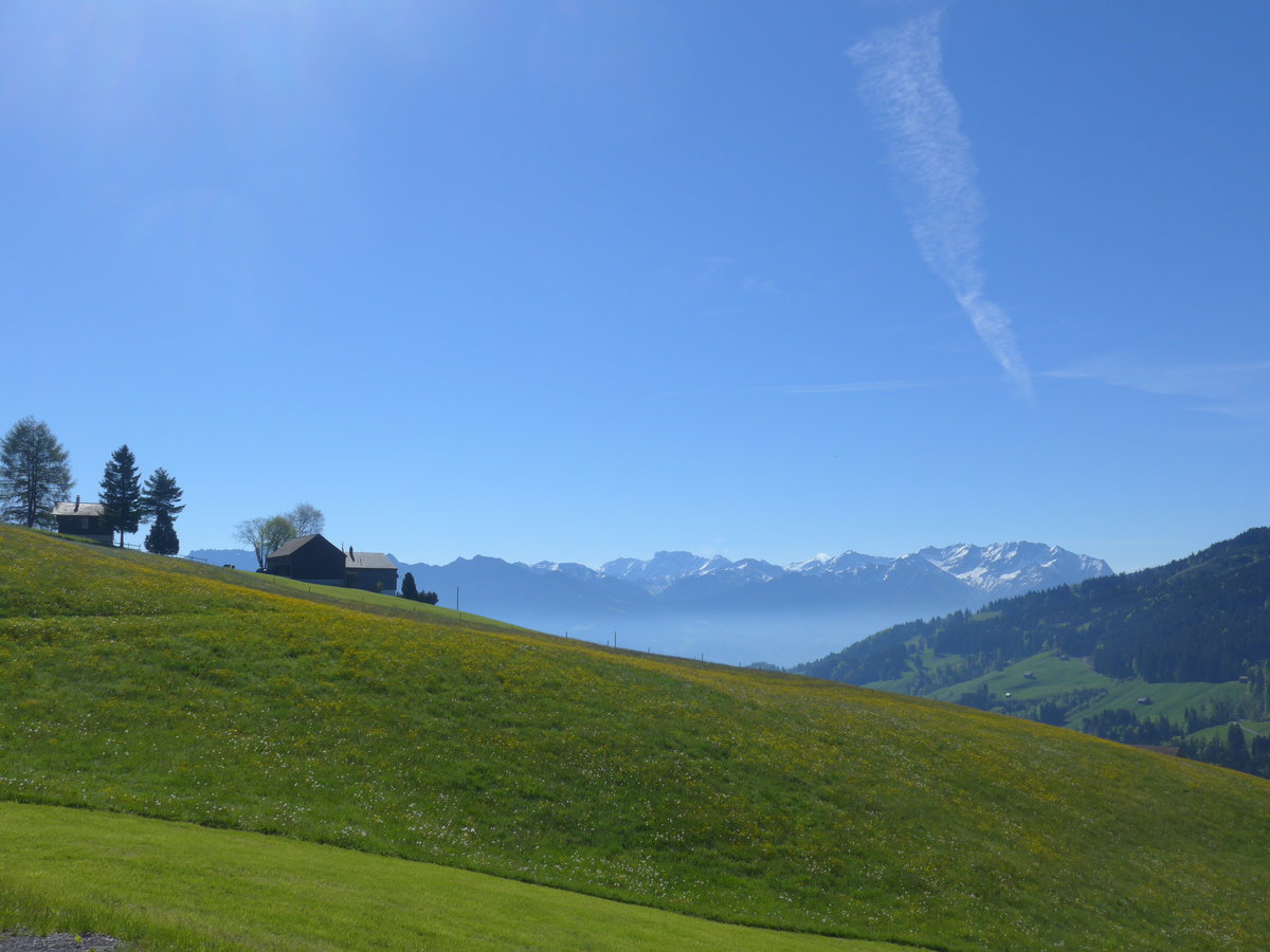 (180'296) - Ausblick am 22. Mai 2017 von Wildhaus aus