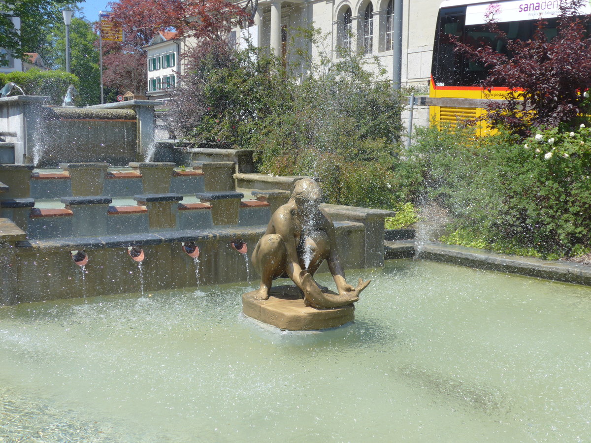 (180'358) - Brunnen am 22. Mai 2017 in Heiden