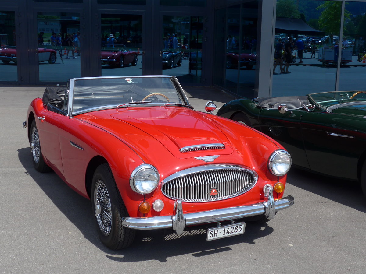 (180'882) - Austin-Healey - SH 14'285 - am 28. Mai 2017 in Luzern, Allmend