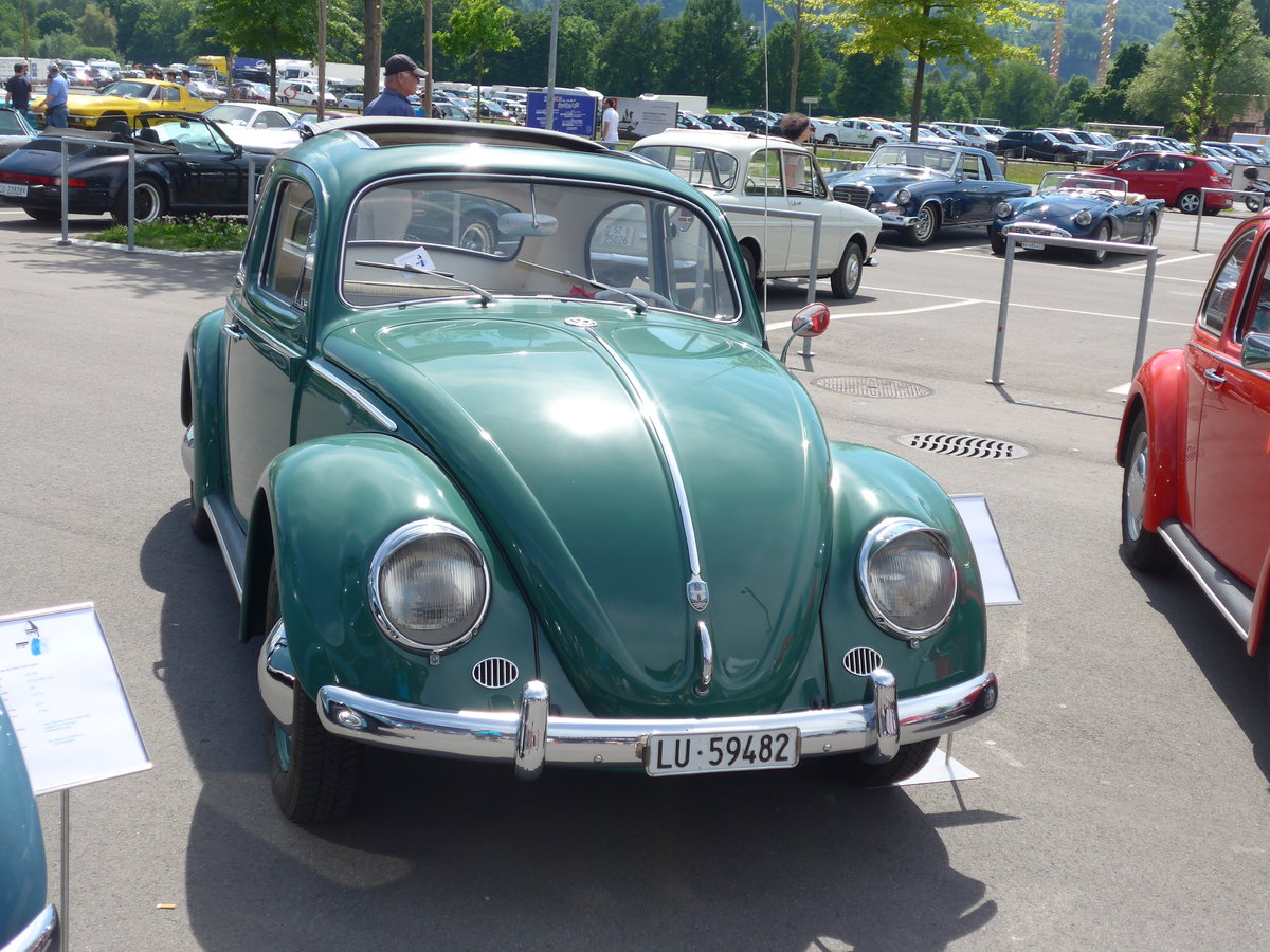 (180'889) - VW-K�fer - BE 59'482 - am 28. Mai 2017 in Luzern, Allmend