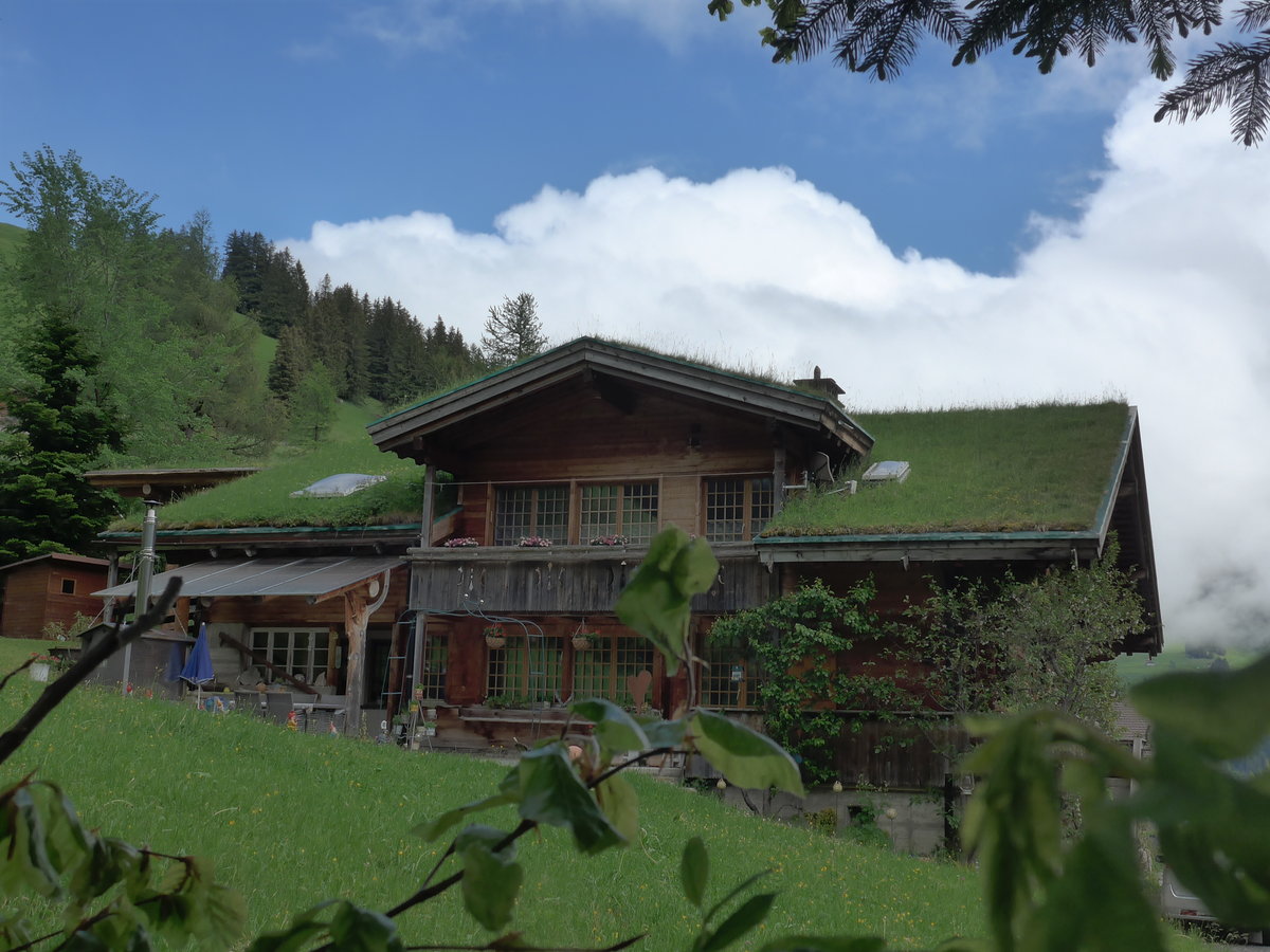 (180'959) - Grasbedecktes Haus am 4. Juni 2017 im Stiegelschwand bei Adelboden