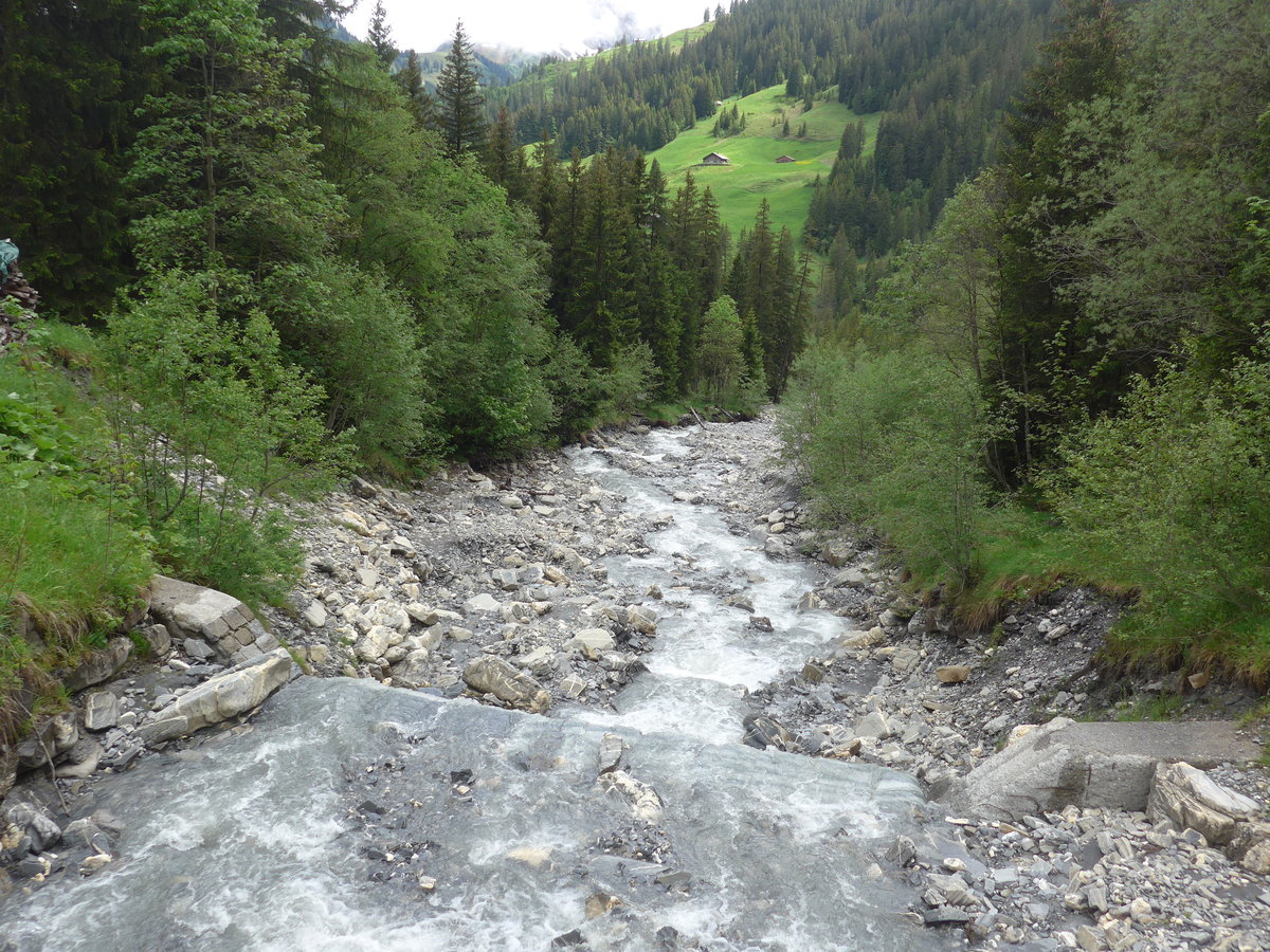 (180'969) - Der Stiegelbach am 4. Juni 2017 in Adelboden, Schermtanne