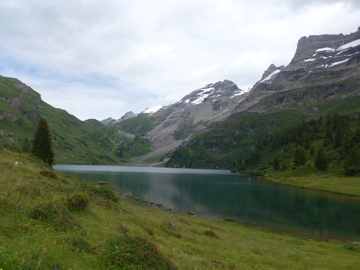 (182'110) - Am Engstlensee am 16. Juli 2017 auf der Engstlenalp