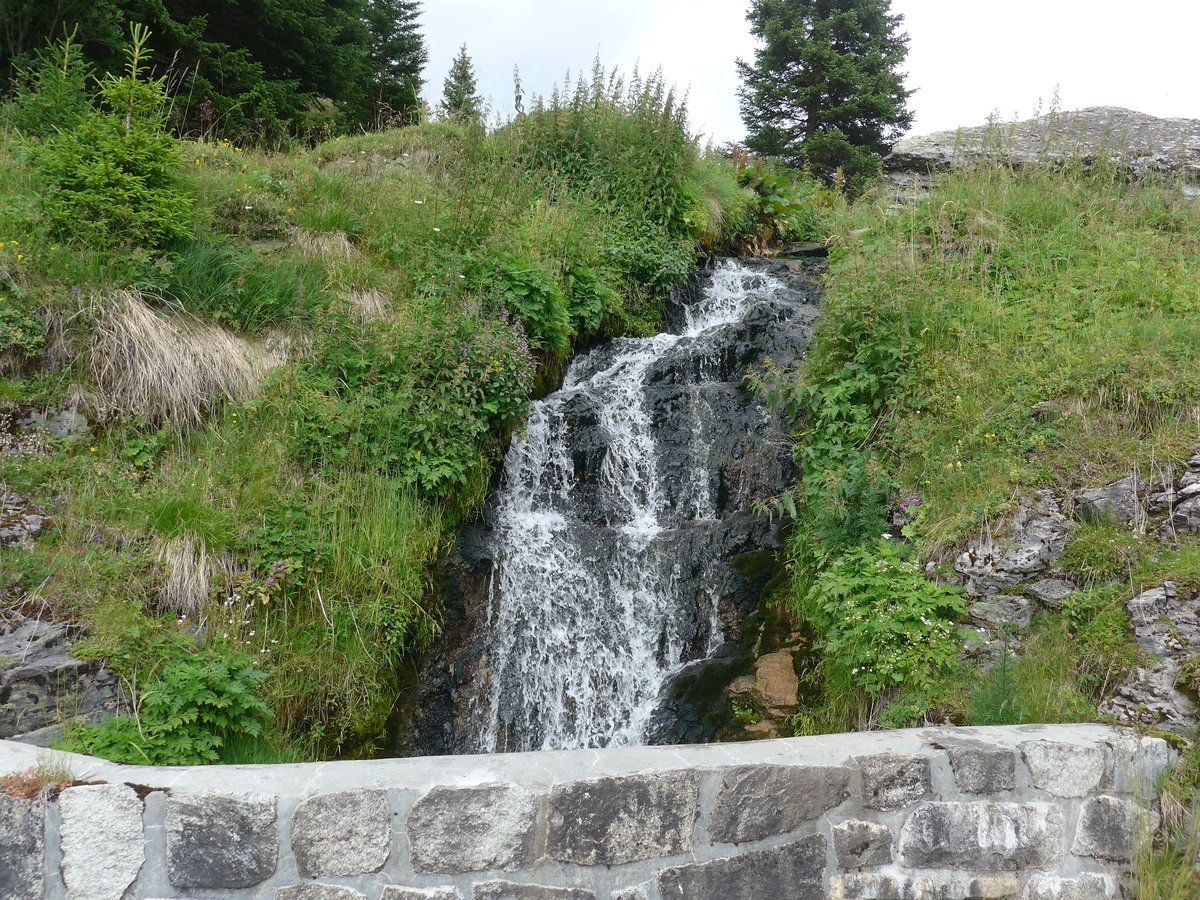 (182'119) - Kleines B�chli am 16. Juli 2017 auf der Engstlenalp