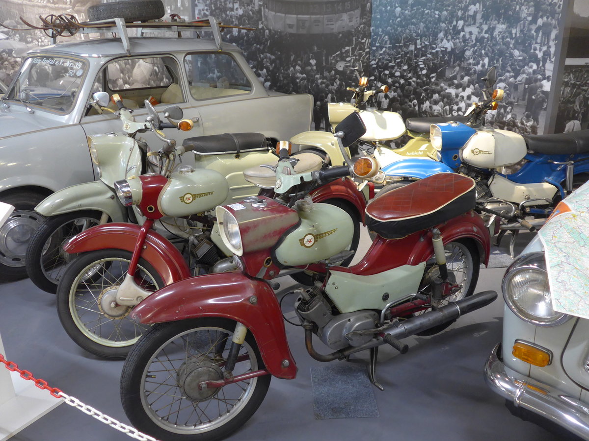 (183'092) - Simson Vogelserie am 8. August 2017 in Dresden, Die Welt der DDR