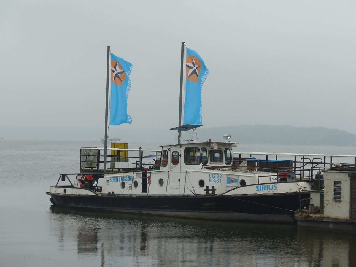 (183'430) - Sirius am 11. August 2017 auf dem Wannsee bei Berlin