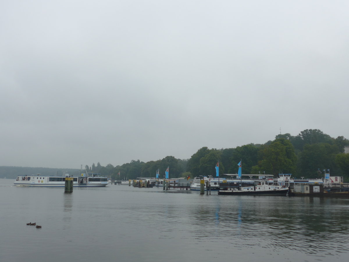 (183'434) - Motorschiff Wannsee am 11. August 2017 auf dem Wannsee bei Berlin