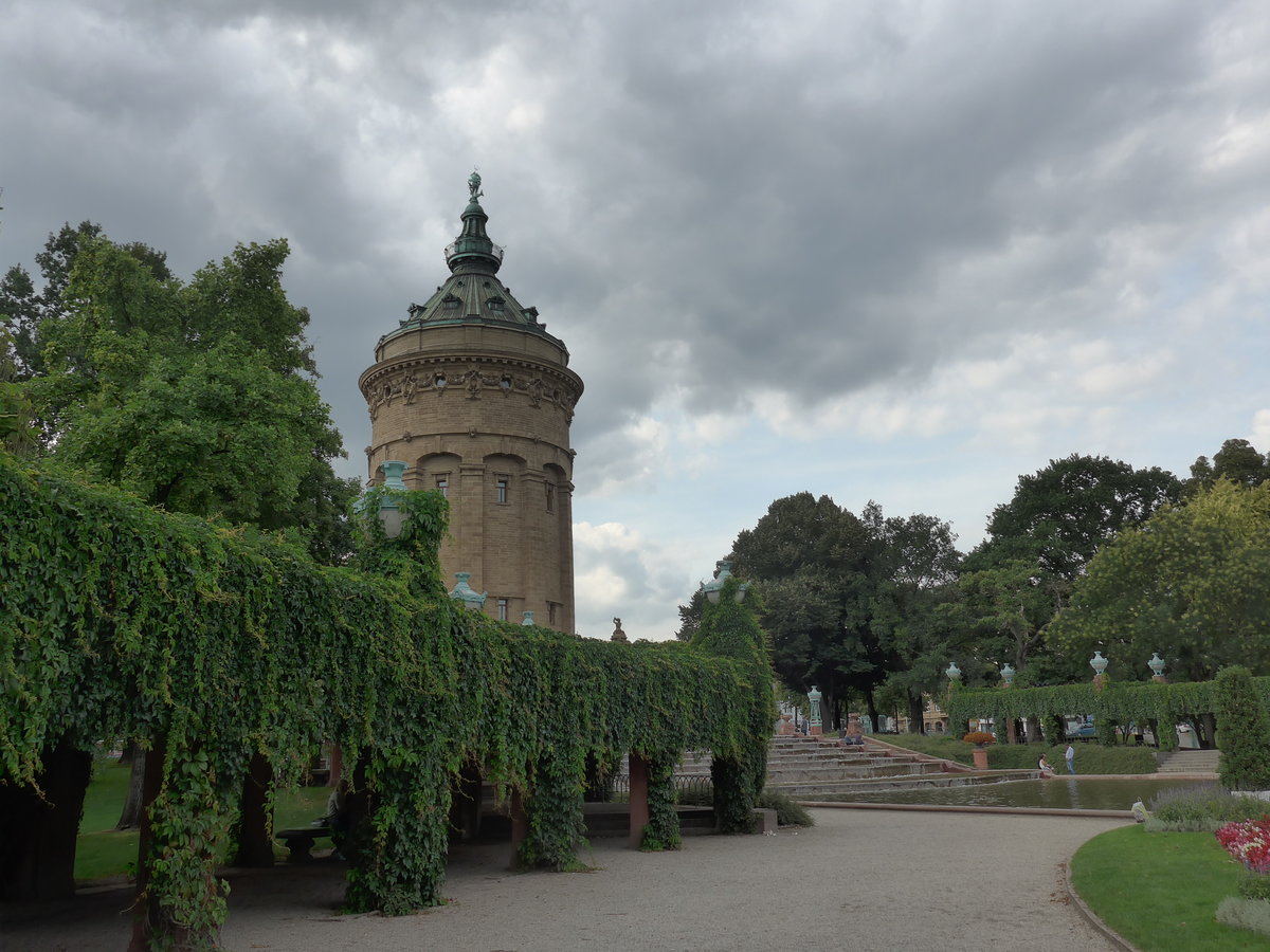 (183'786) - Der Wasserturm mit B�umen am 21. August 2017 in Mannheim
