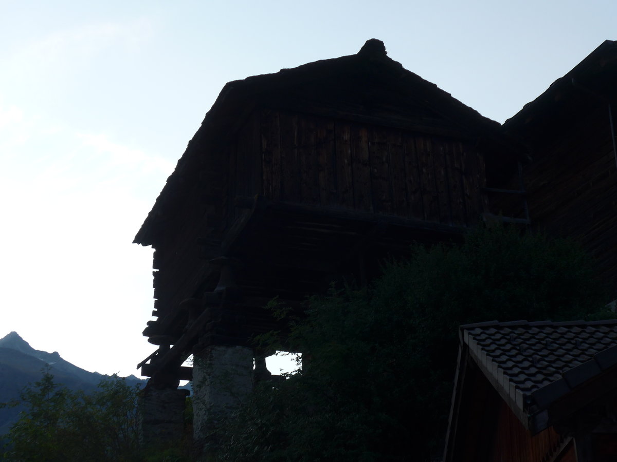 (184'117) - Stafel am 25. August 2017 in Les Haud�res