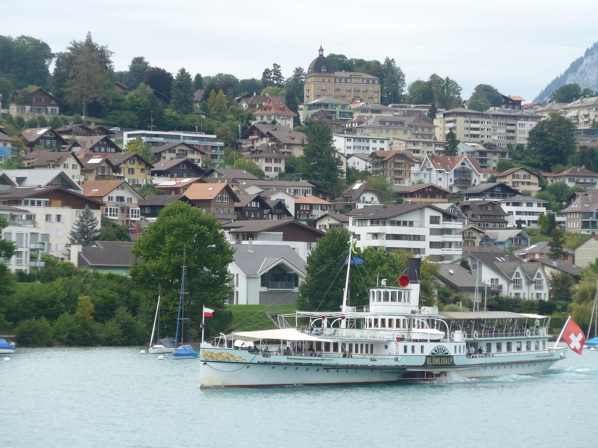 (184'664) - Dampfschiff Bl�mlisalp am 4. September 2017 bei der Spiezerbucht