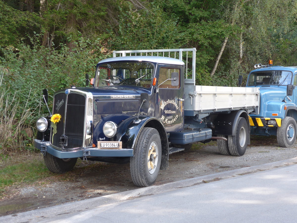 (184'980) - Amstein, Willisau - LU 91'084 U - Saurer am 16. September 2017 in Cazis, B�ndner Arena