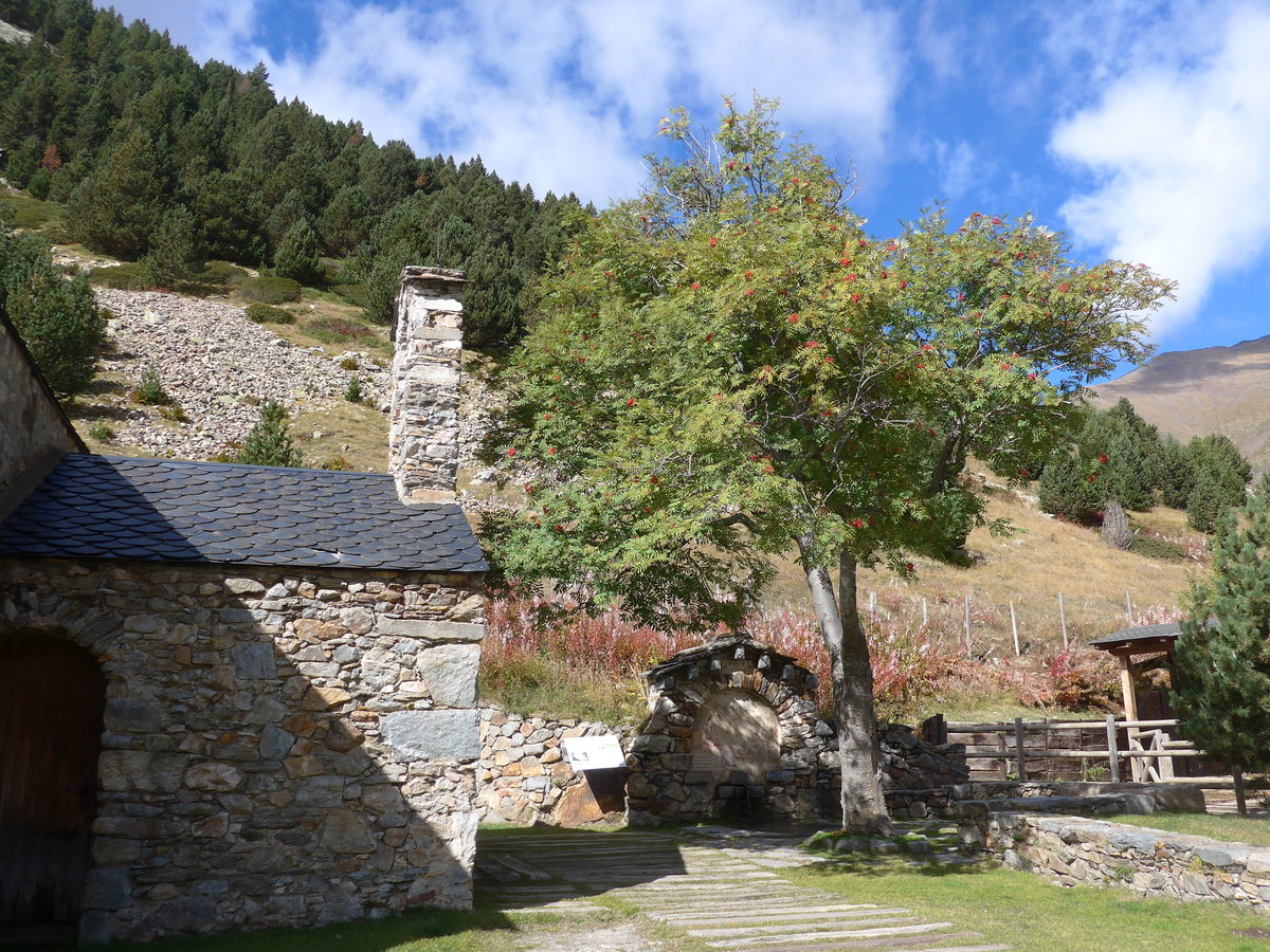 (185'258) - Ein Baum bei der Einsiedlerkapelle Sant Gil am 26. September 2017 im Vall de N�ria