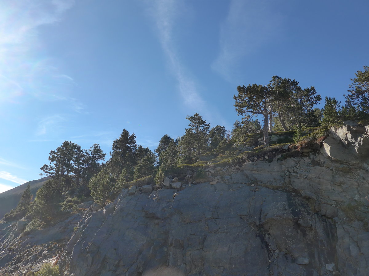 (185'301) - B�ume auf dem Felsen am 27. September 2017 bei Arcal�s