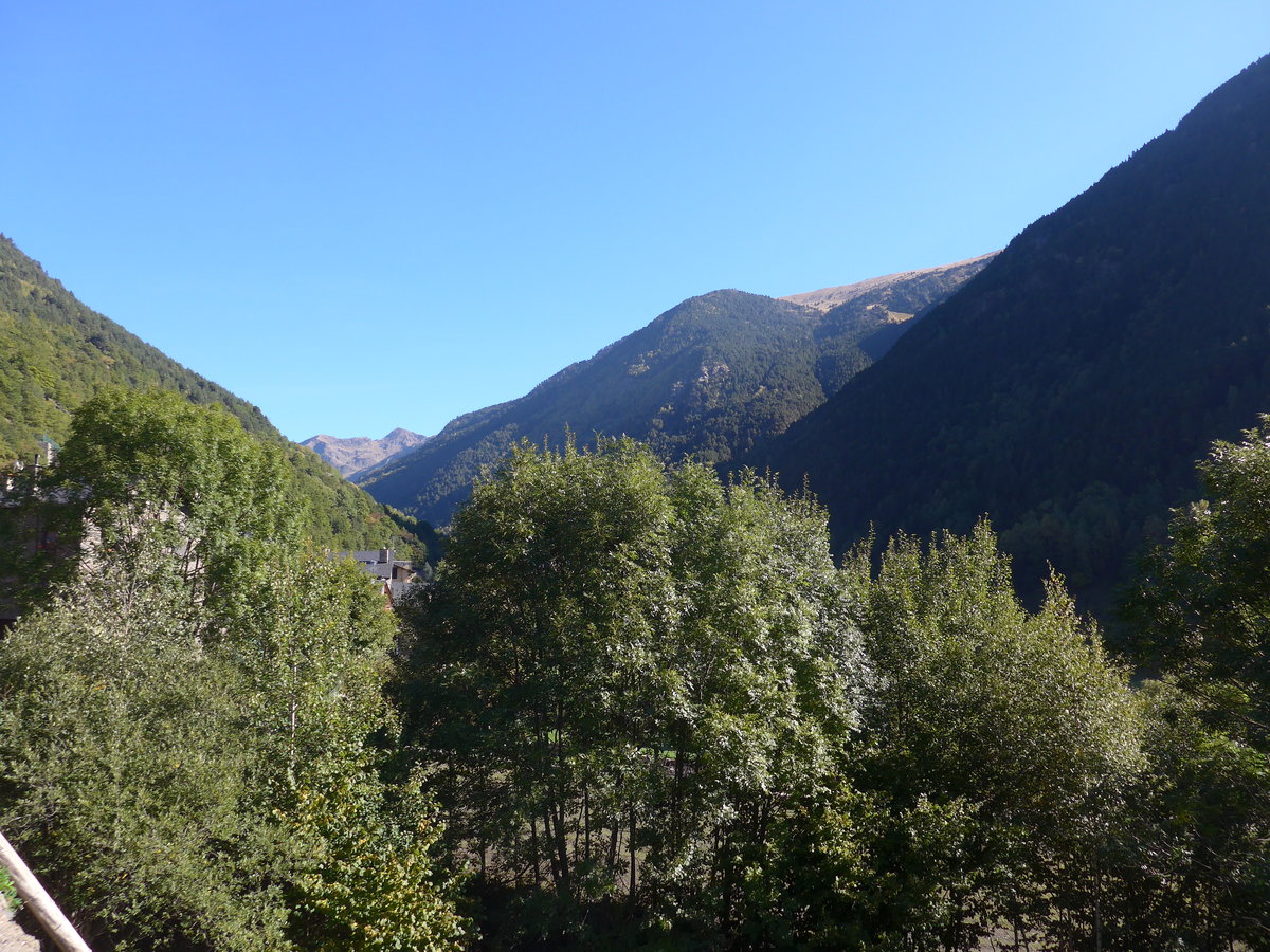 (185'340) - B�ume am 27. September 2017 in Llorts