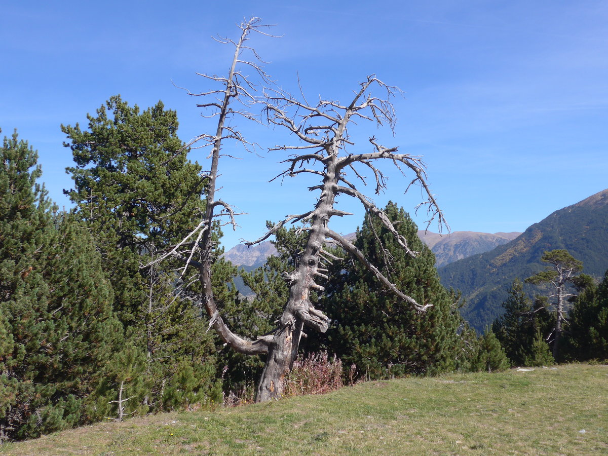 (185'385) - Mirador del Roc del Quer am 27. September 2017 bei Canillo