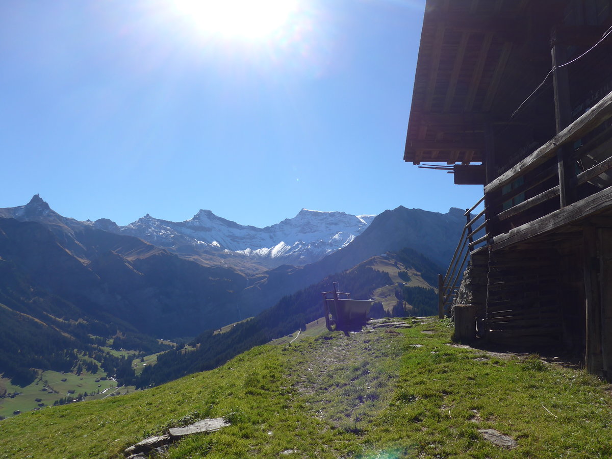 (185'827) - Obere Fluhweide mit Wildstrubelmassiv am 15. Oktober 2017 oberhalb Adelboden
