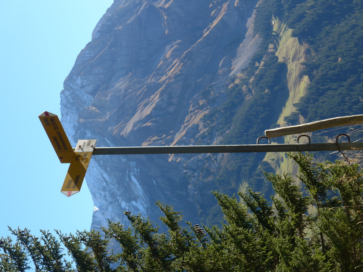 (185'833) - Wegweiser bei der oberen Fluhweide am 15. Oktober 2017 oberhalb Adelboden