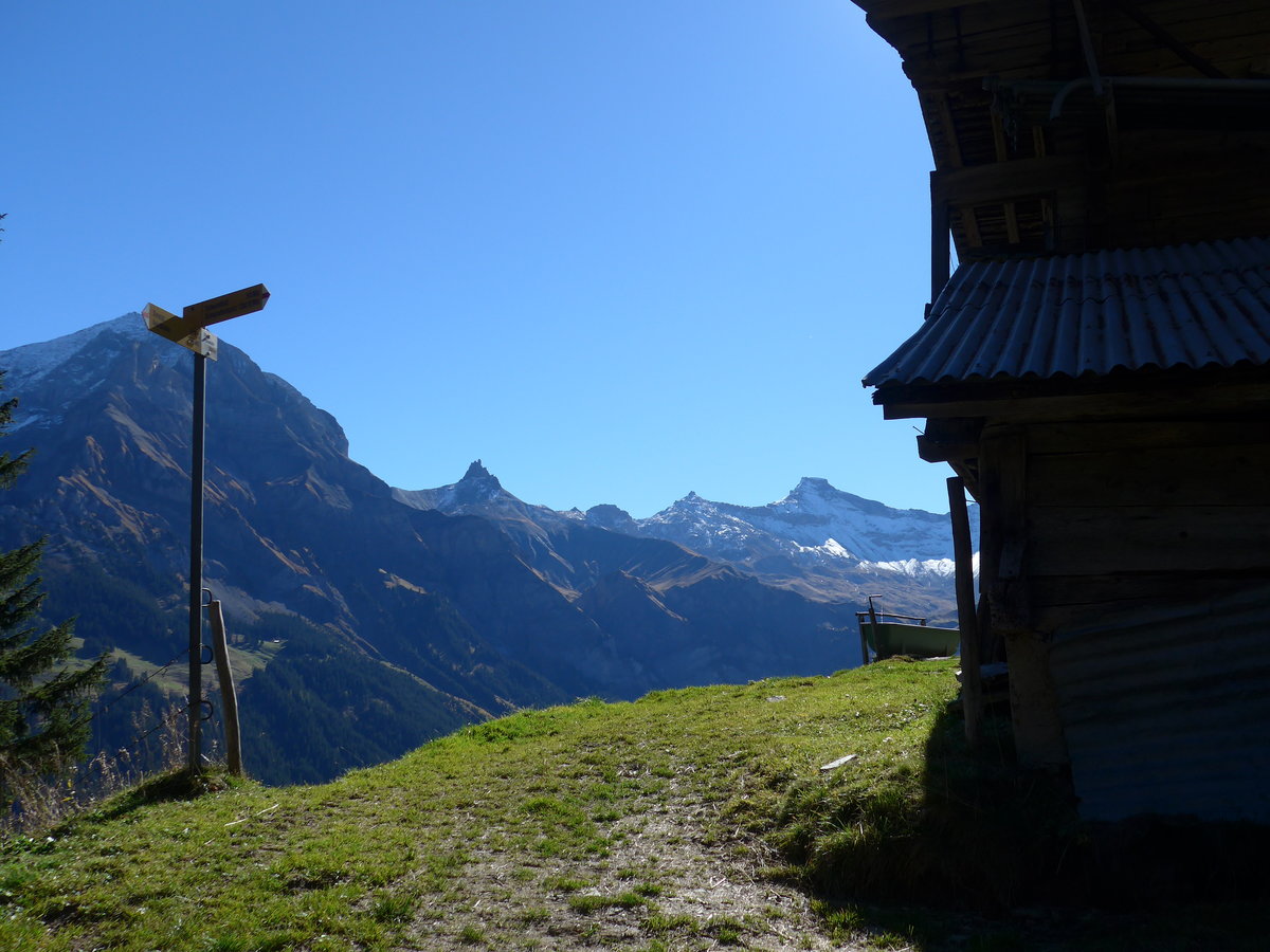 (185'834) - Wegweiser bei der oberen Fluhweide am 15. Oktober 2017 oberhalb Adelboden