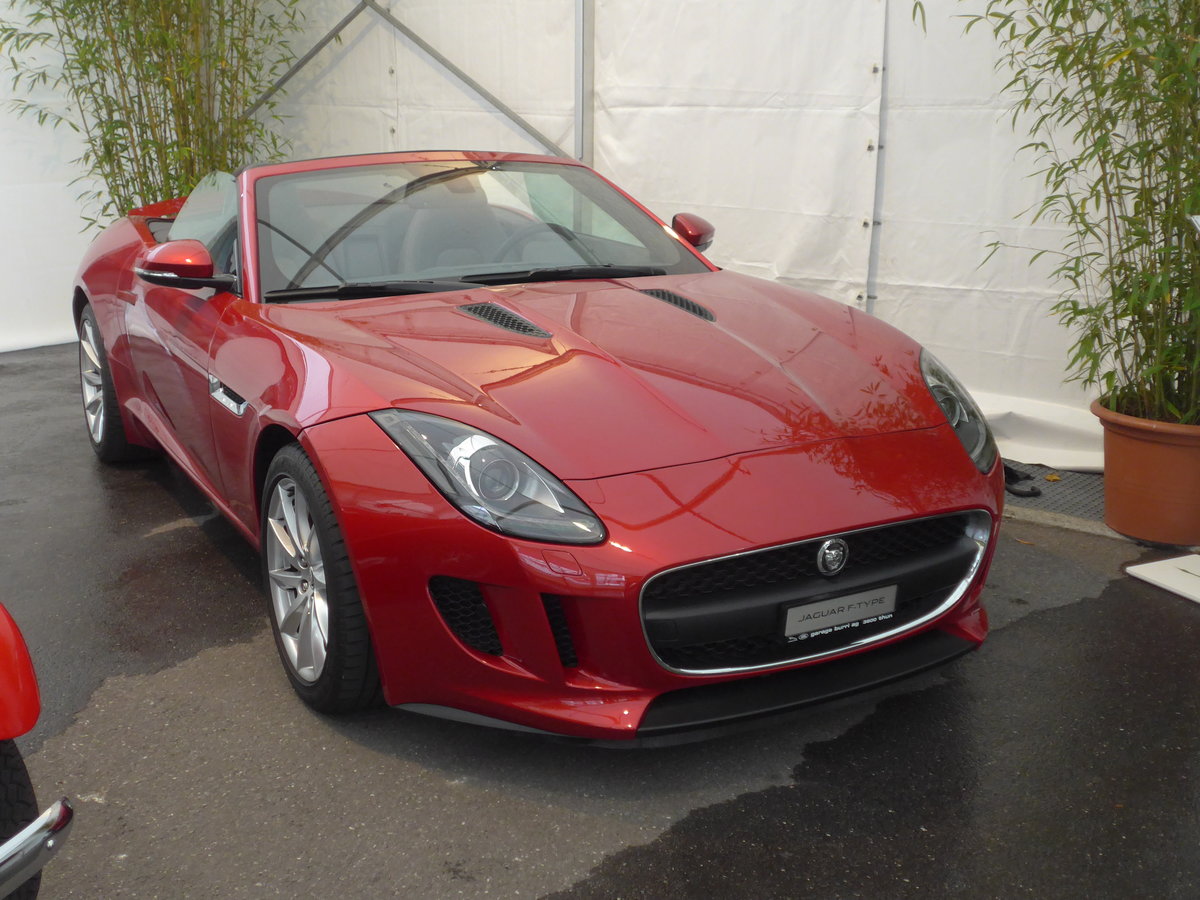 (186'251) - Jaguar F-Type an der Neuland am 5. November 2017 in Thun, Expo