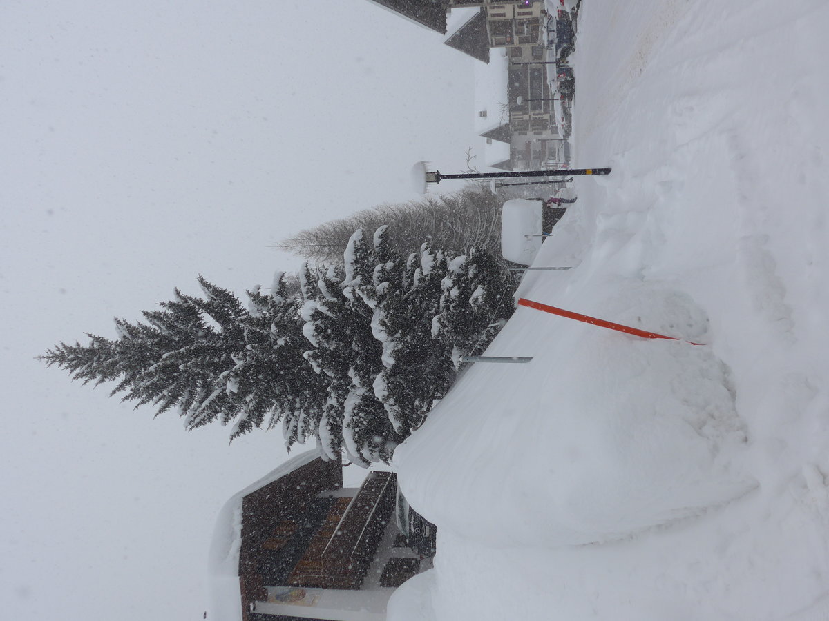 (188'054) - Viel Schnee am 20. Januar 2018 in Les Collons