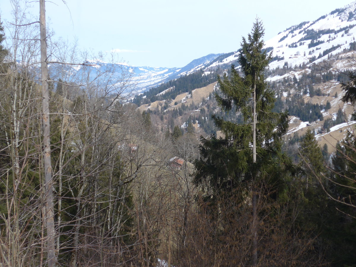 (189'067) - Das Zihl-Ladholz durch die B�ume gesehen am 5. M�rz 2018 in Achseten