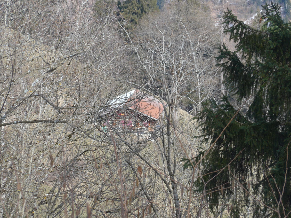 (189'068) - Das Zihl-Ladholz durch die B�ume gesehen am 5. M�rz 2018 in Achseten