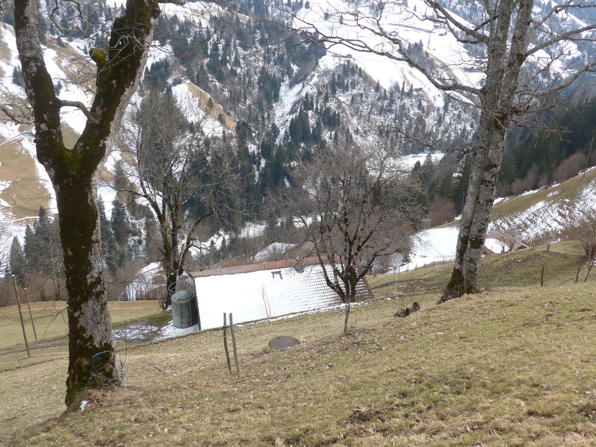 (189'117) - Das Zihl-Ladholz zwischen den B�umen von oben am 5. M�rz 2018 bei Achseten