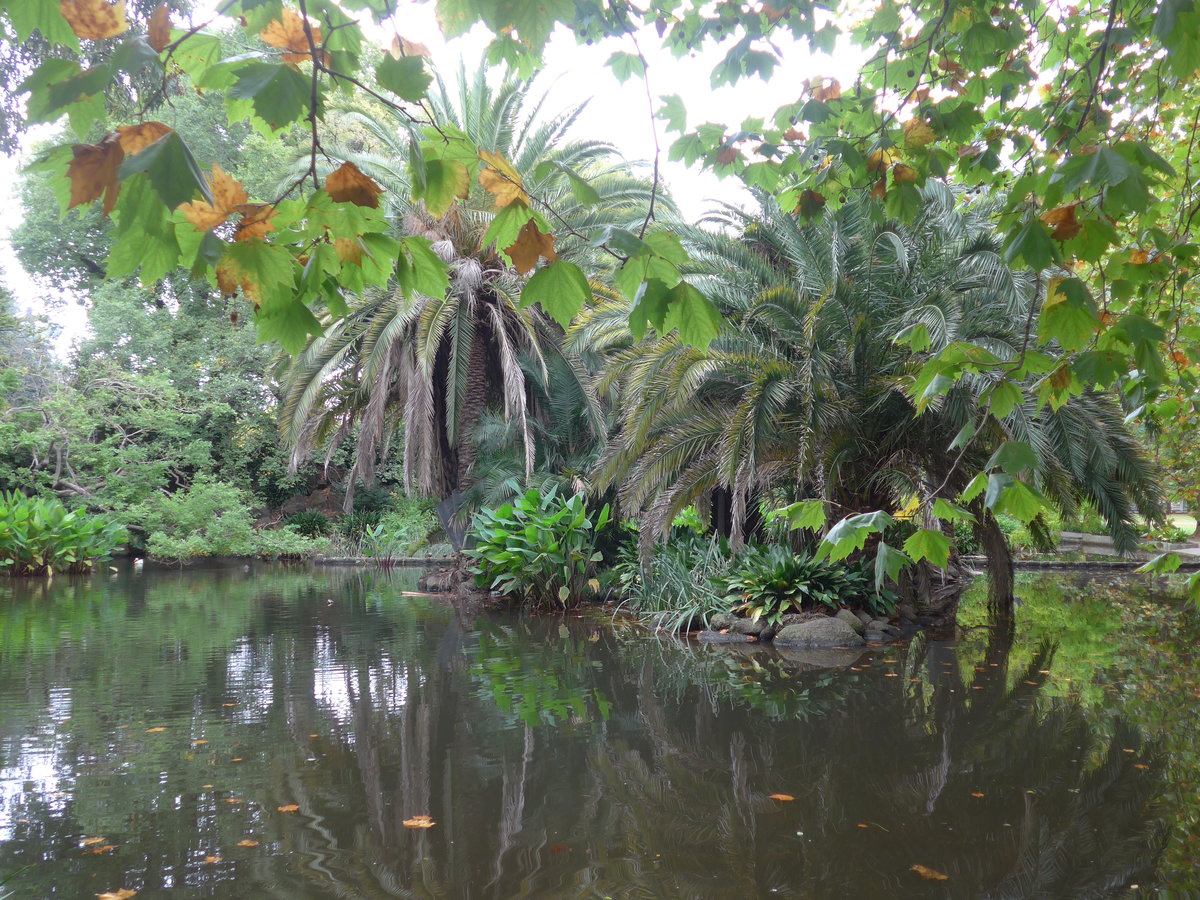 (190'159) - Im Queen Victoria Garden am 17. April 2018 in Melbourne