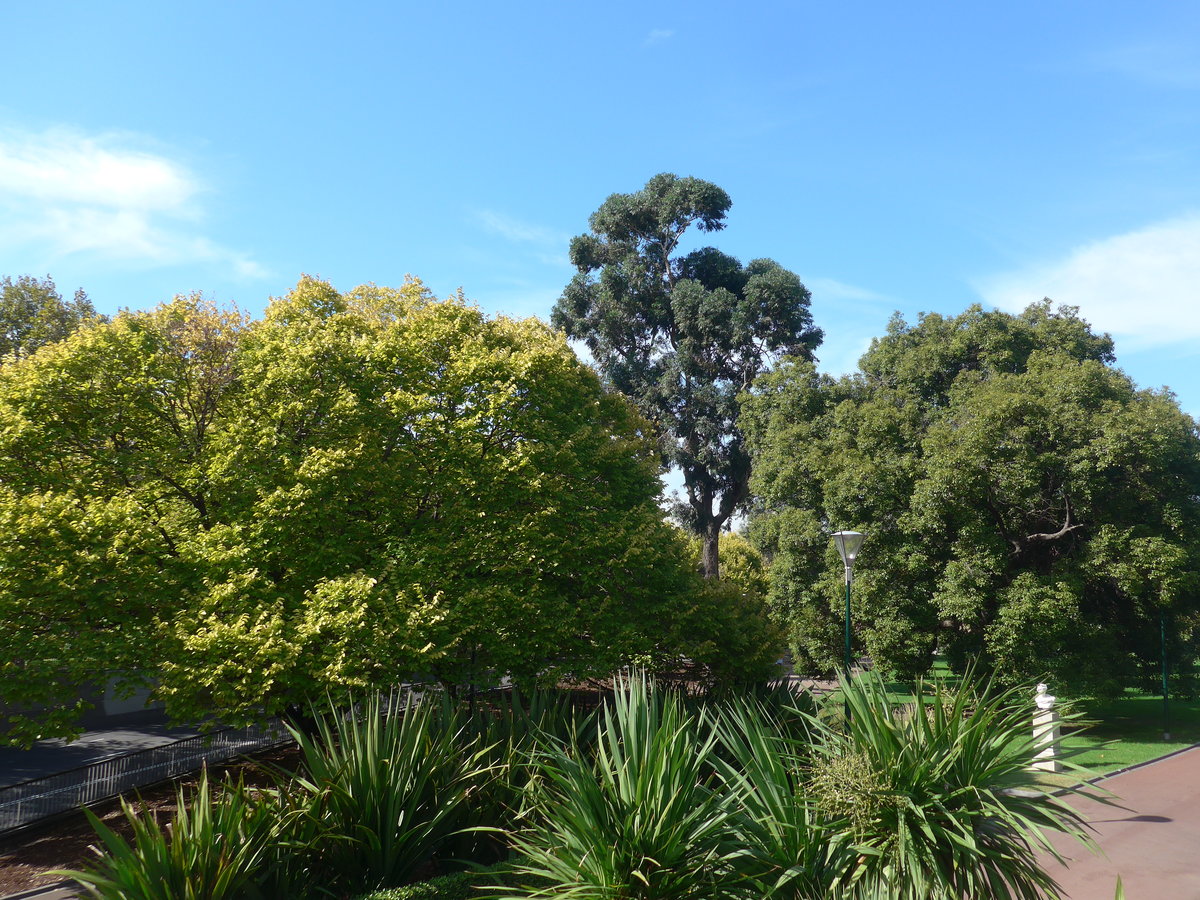 (190'370) - Im Queen Victoria Garden am 19. April 2018 in Melbourne