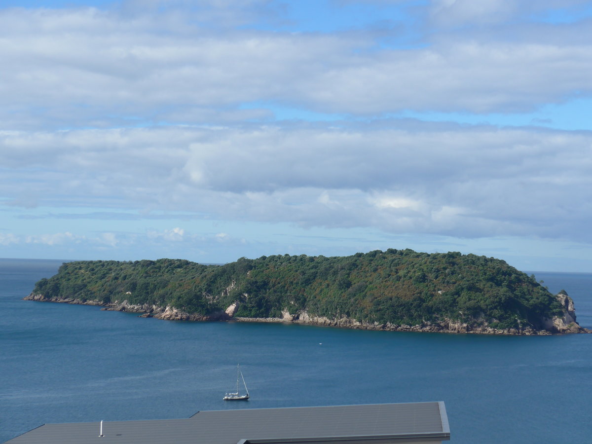 (190'516) - Insel am 20. April 2018 in Hahei Beach