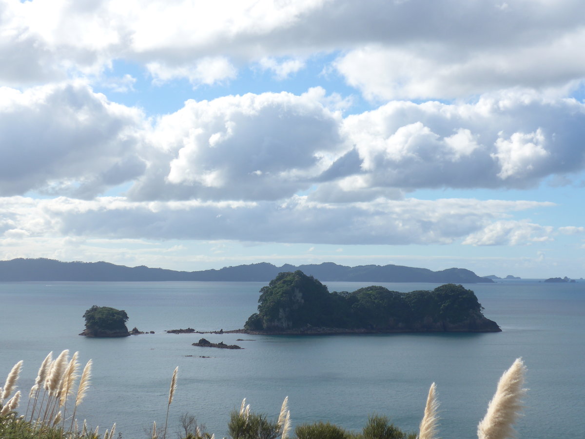 (190'525) - Inseln am 20. April 2018 in Hahei Beach