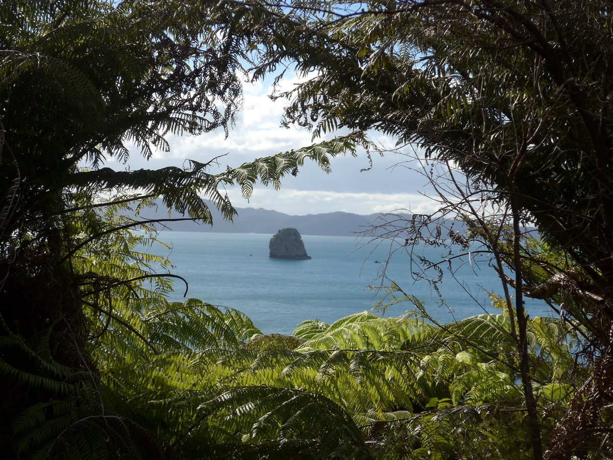 (190'533) - Insel durch die B�ume am 20. April 2018 in Hahei Beach