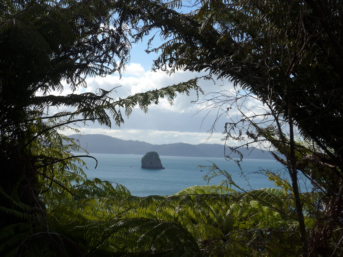 (190'534) - Insel durch die B�ume am 20. April 2018 in Hahei Beach