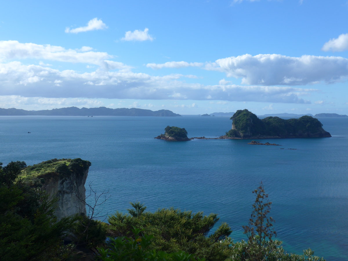 (190'537) - Inseln am 20. April 2018 in Hahei Beach