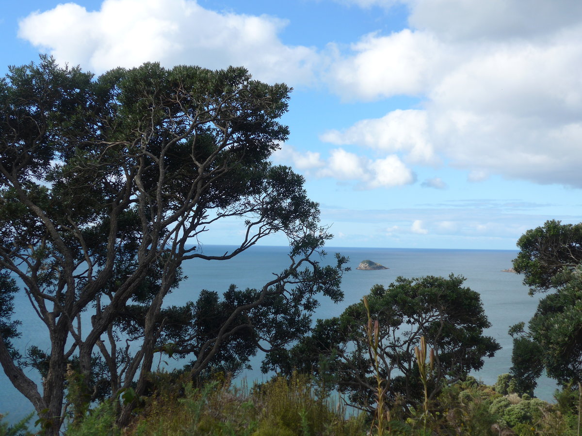 (190'538) - B�ume am 20. April 2018 in Hahei Beach