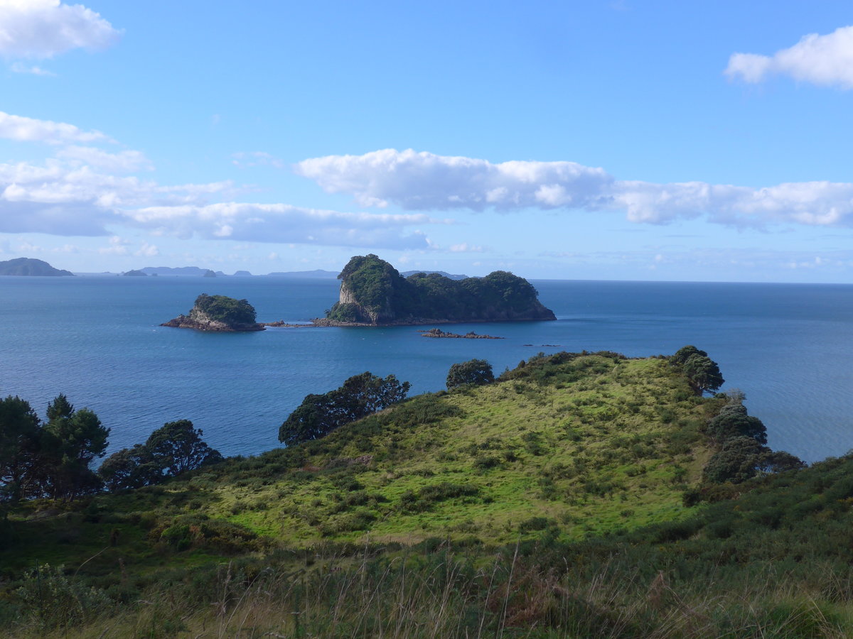 (190'541) - Inseln am 20. April 2018 in Hahei Beach