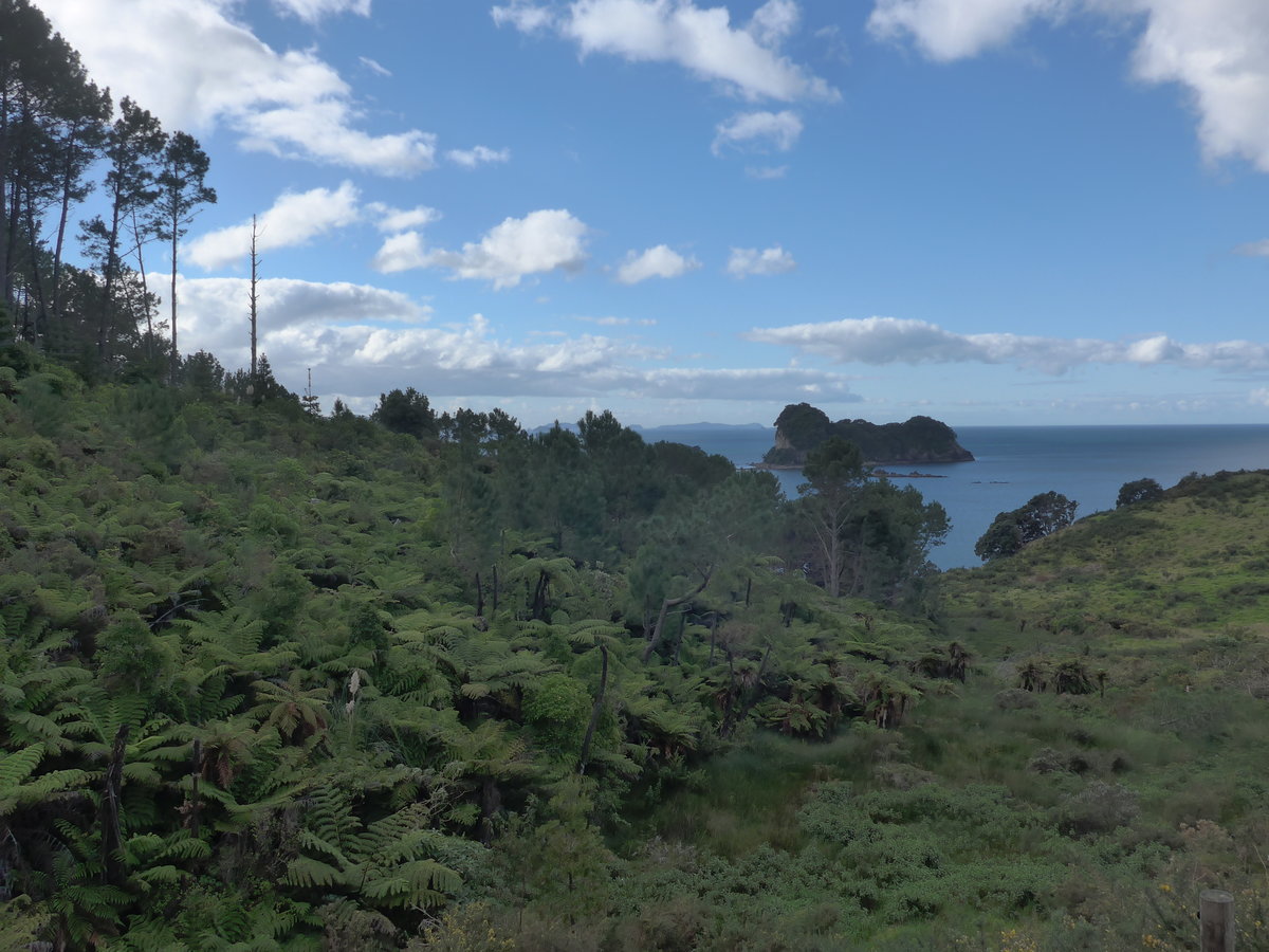 (190'544) - Wald und Insel am 20. April 2018 in Hahei Beach