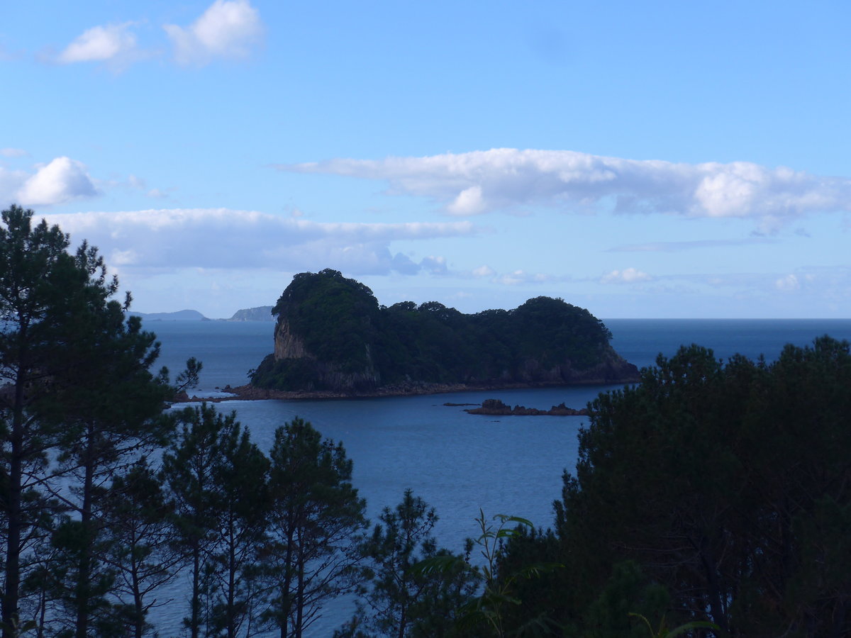 (190'547) - Insel und B�ume am 20. April 2018 in Hahei Beach