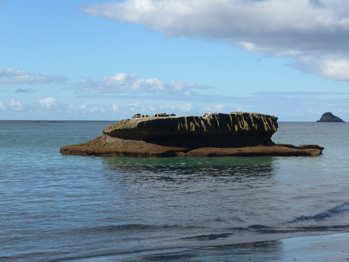 (190'549) - Steininsel am 20. April 2018 in Hahei Beach