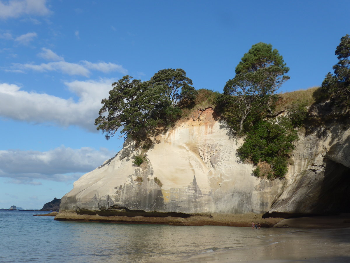 (190'571) - Felsen mit B�umen am 20. April 2018 in Hahei Beach