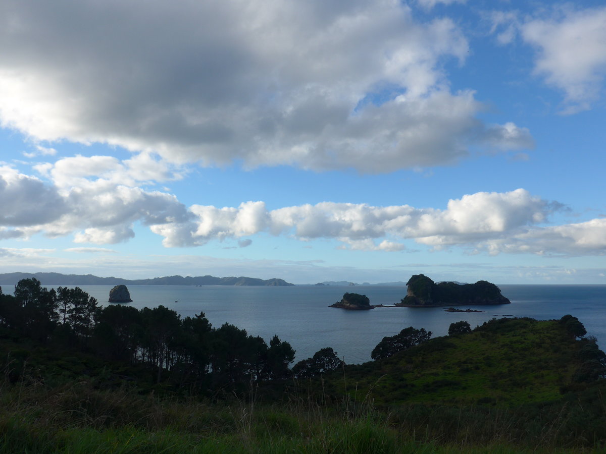 (190'589) - Inseln und B�ume am 20. April 2018 in Hahei Beach